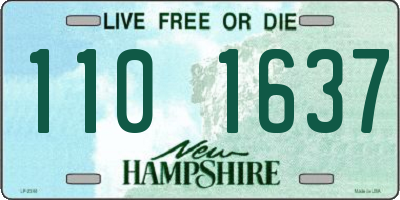 NH license plate 1101637