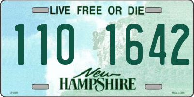 NH license plate 1101642