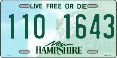 NH license plate 1101643