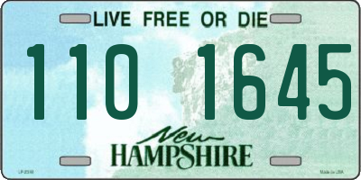 NH license plate 1101645