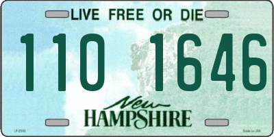 NH license plate 1101646