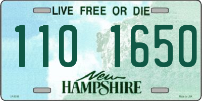 NH license plate 1101650