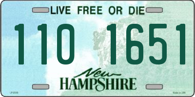 NH license plate 1101651