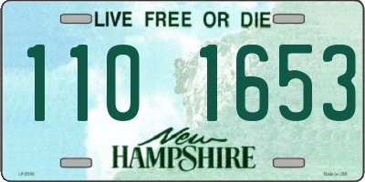 NH license plate 1101653