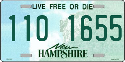NH license plate 1101655