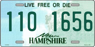 NH license plate 1101656