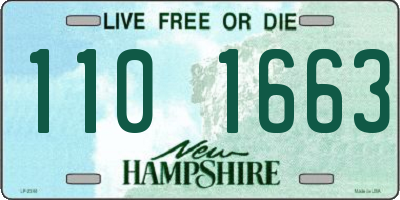 NH license plate 1101663