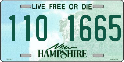NH license plate 1101665