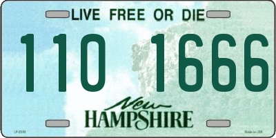 NH license plate 1101666