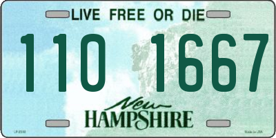 NH license plate 1101667