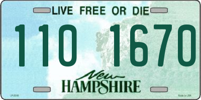 NH license plate 1101670