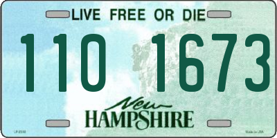 NH license plate 1101673