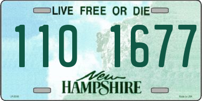 NH license plate 1101677