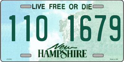 NH license plate 1101679