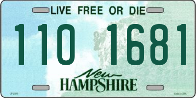 NH license plate 1101681
