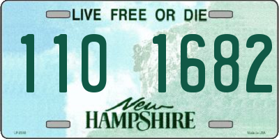 NH license plate 1101682