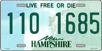 NH license plate 1101685
