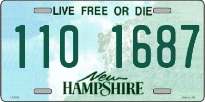 NH license plate 1101687