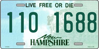 NH license plate 1101688