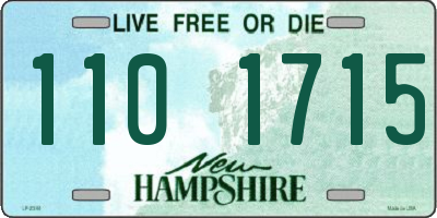 NH license plate 1101715
