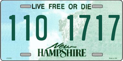 NH license plate 1101717