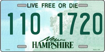 NH license plate 1101720