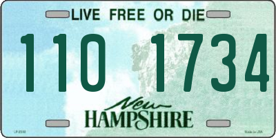 NH license plate 1101734