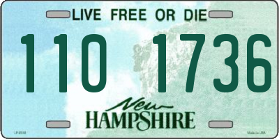 NH license plate 1101736