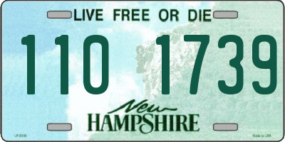NH license plate 1101739