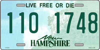 NH license plate 1101748