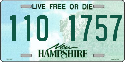 NH license plate 1101757
