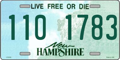 NH license plate 1101783