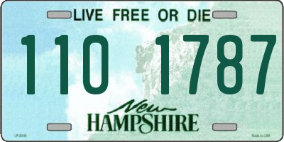 NH license plate 1101787