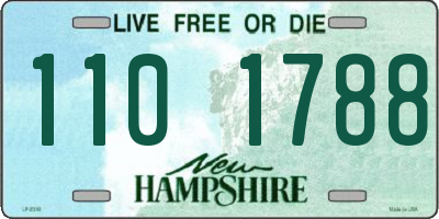 NH license plate 1101788