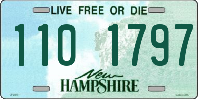 NH license plate 1101797