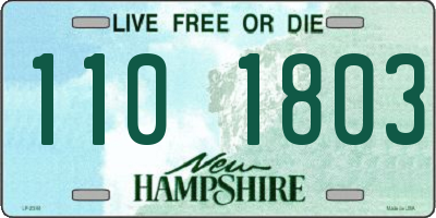 NH license plate 1101803
