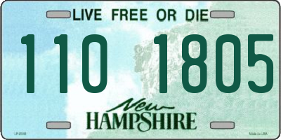 NH license plate 1101805