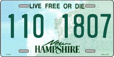 NH license plate 1101807