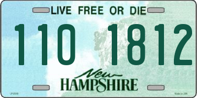 NH license plate 1101812