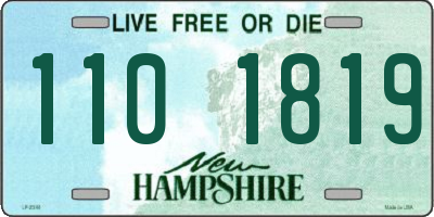 NH license plate 1101819