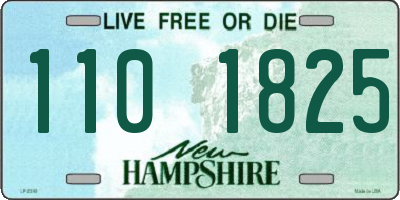 NH license plate 1101825