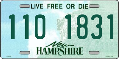 NH license plate 1101831