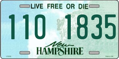 NH license plate 1101835