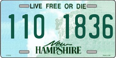 NH license plate 1101836
