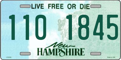 NH license plate 1101845