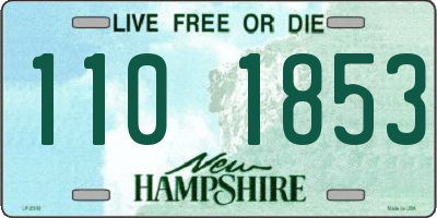 NH license plate 1101853