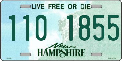 NH license plate 1101855
