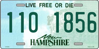 NH license plate 1101856