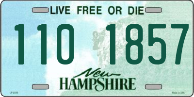 NH license plate 1101857