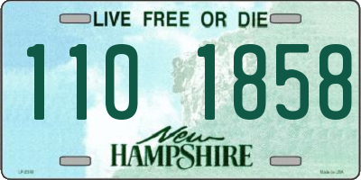 NH license plate 1101858